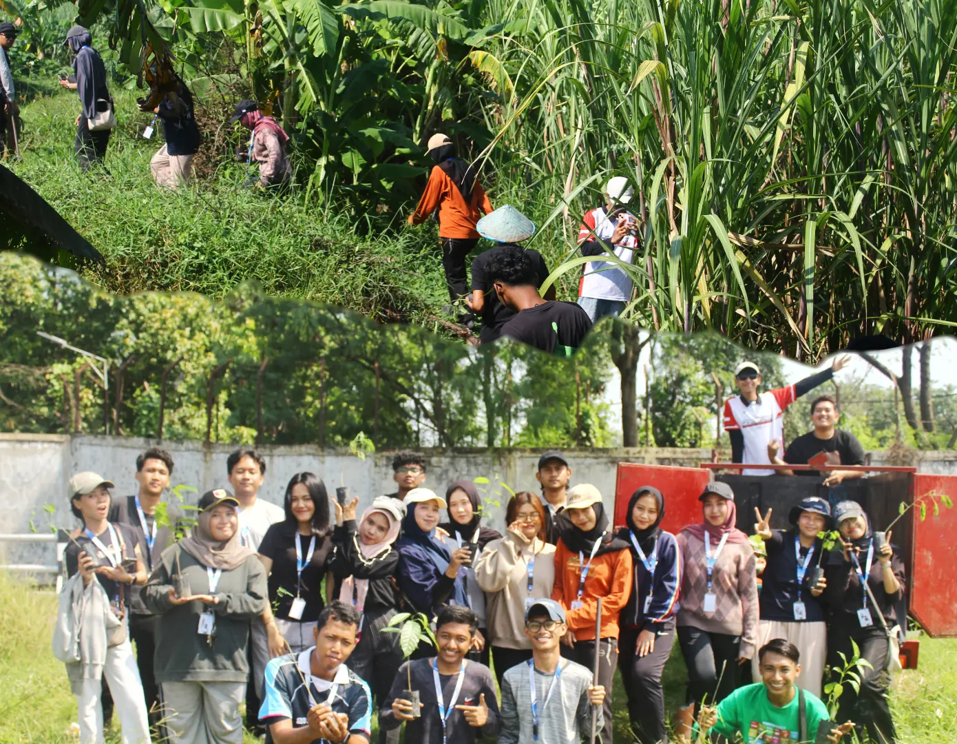 Mahasiswa KKN UWKS Gelar Aksi Penanaman 450 Bibit Pohon Guna Cegah Erosi di Sungai Sidoarjo